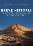 Breve Historia De Potosí Y Del Asturiano Rodrigo Peláez (ebook)