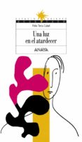 UNA LUZ EN EL ATARDECER (2 ED.) de TEIRA CUBEL, FELIX 