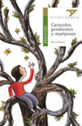 CARACOLES, PENDIENTES Y MARIPOSAS (XIII PREMIO ALA DELTA) de ALVAREZ, BLANCA 