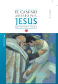 EL CAMINO ABIERTO POR JESUS. LUCAS de PAGOLA, JOSE ANTONIO 