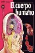 LAROUSSE DEL CUERPO HUMANO di VV.AA. 