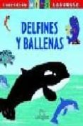 DELFINES Y BALLENAS (MINI LAROUSSE) di VV.AA. 