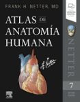NETTER. ATLAS DE ANATOMA HUMANA (7 ED.) de NETTER, FRANK H. 