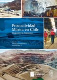 Productividad Minera En Chile (ebook)