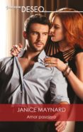 Amor Pasajero (ebook)