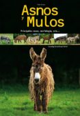 ASNOS Y MULAS di SIMEON, VICTOR 