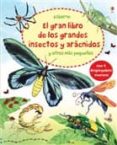 GRAN LIBRO GRANDES INSECTOS de BONE, EMILY 
