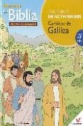 CAMINOS DE GALILEA: DESCUBRE LA BIBLIA: CUADERNO DE ACTIVIDADES di VV.AA. 