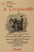 A CHIPICALLI: DICCIONARIO GITANO-ESPAOL di REBOLLEDO, TINEO 