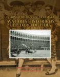 AVATARES HISTORICOS DEL TORO DE LIDIA de DELGADO DE LA CAMARA, DOMINGO 