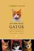 ALEGATOS DE LOS GATOS: RELATOS CON RETRATOS DE LOS GATOS LITERATO S de BURGOS, ANTONIO 