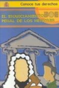 EL ENJUICIAMIENTO PENAL DE LOS MENORES de TEIXEIRA RODRIGUEZ, XULIO  GRANDE SEARA, PABLO 