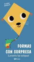 FORMAS CON SORPRESA di VV.AA. 
