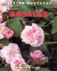 ROSALES de BUCZACKI, STEFAN 