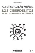 LOS CIBERDELITOS EN EL ORDENAMIENTO ESPAOL di GALAN MUOZ, ALFONSO 