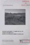 PAISAJES AGRARIOS Y CAMBIO SOCIAL EN ANDALUCIA ORIENTAL ENTRE LOS PERIODOS IBERICO Y ROMANO de MAYORAL HERRERA, VICTORINO 