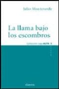 LA LLAMA BAJO LOS ESCOMBROS di MONTEVERDE, JULIO 