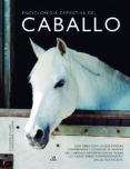 ENCICLOPEDIA DEFINITIVA DEL CABALLO di VV.AA. 