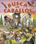 BUSCA LOS CABALLOS Y PONIS di VV.AA. 
