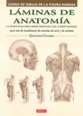 LMINAS DE ANATOMA: CURSO DE DIBUJO DE LA FIGURA HUMANA de CIVARDI, GIOVANNI 