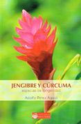 JENGIBRE Y CRCUMA de PEREZ AGUSTI, ADOLFO 