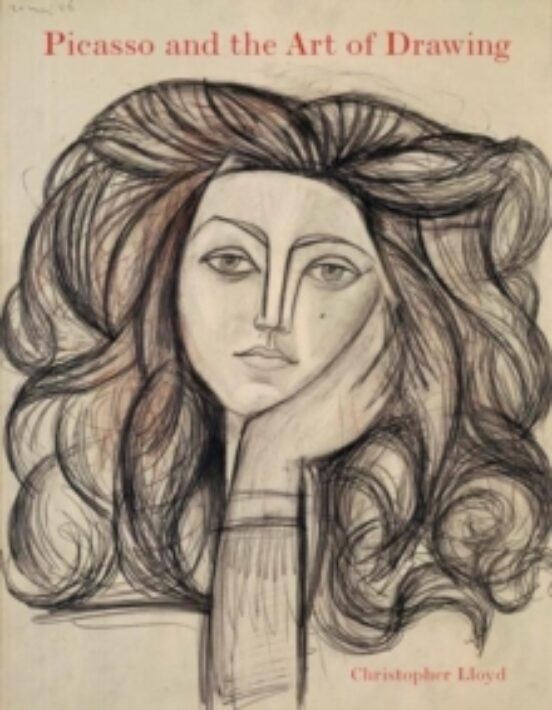 Picasso And The Art Of Drawing