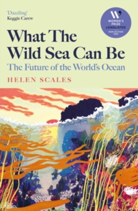 What The Wild Sea Can Be
