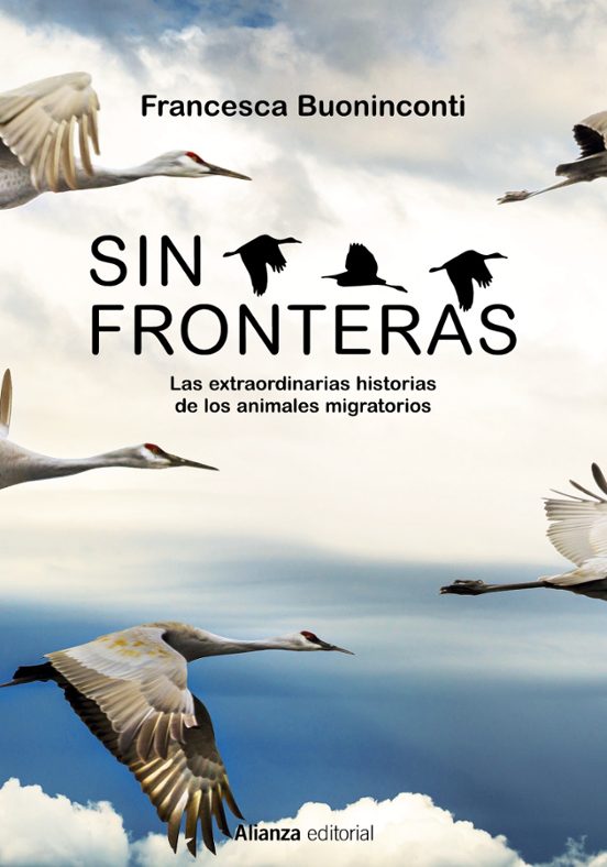 Sin Fronteras. La Extraordinaria Historia De Los Animales Migrato Rios