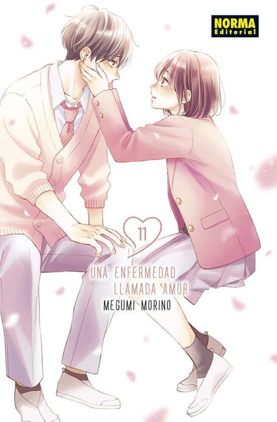 Una enfermedad llamada amor 11