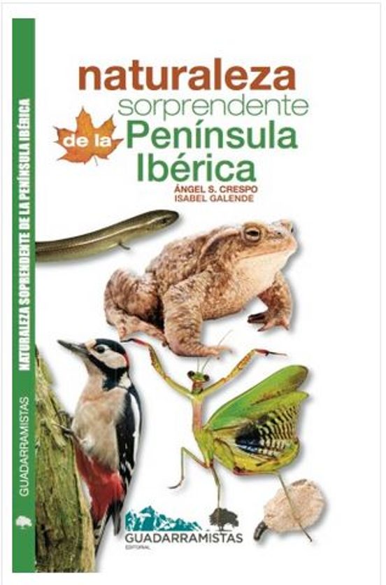 Naturaleza Sorprendente De La Peninsula Iberica