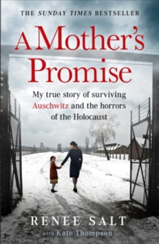 A Mothers Promise