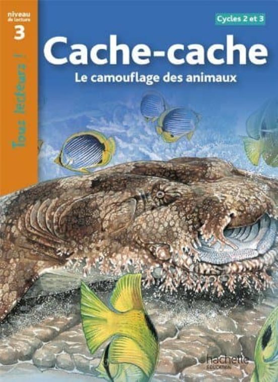 Cache Cache