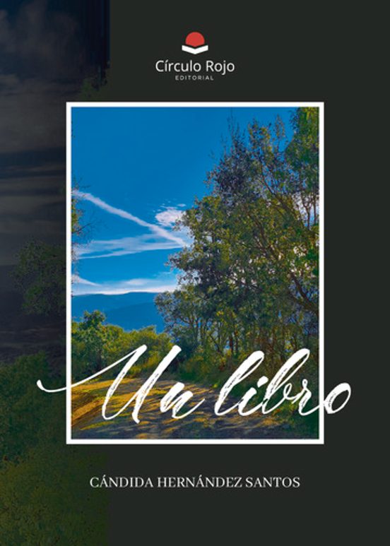 Un libro