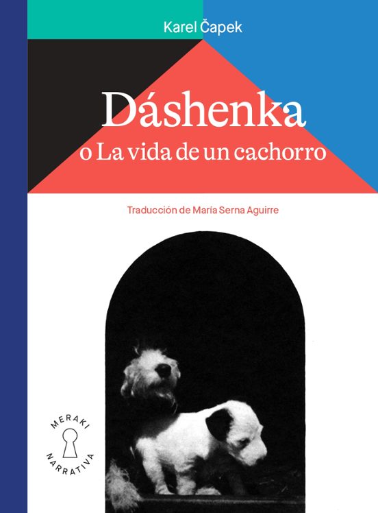 Dashenka O La Vida De Un Cachorro
