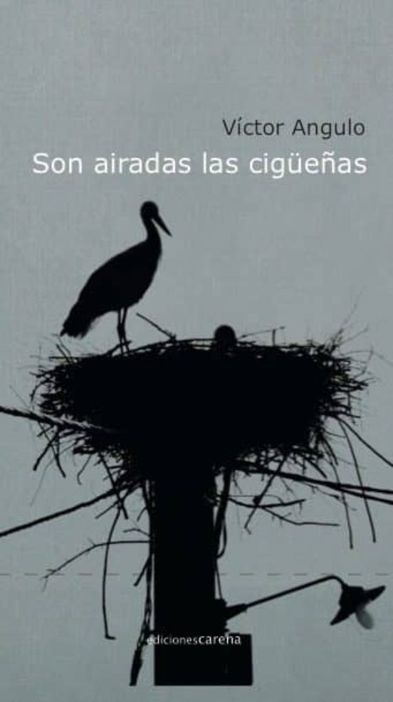 Son Airadas Las Cigüeñas