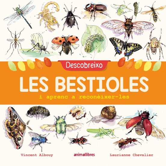 Descobreixo Les Bestioles I Aprenc A Reconèixer-les