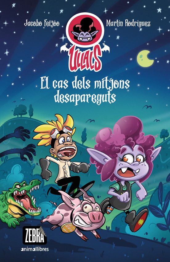 El Cas Dels Mitjons Desapareguts
