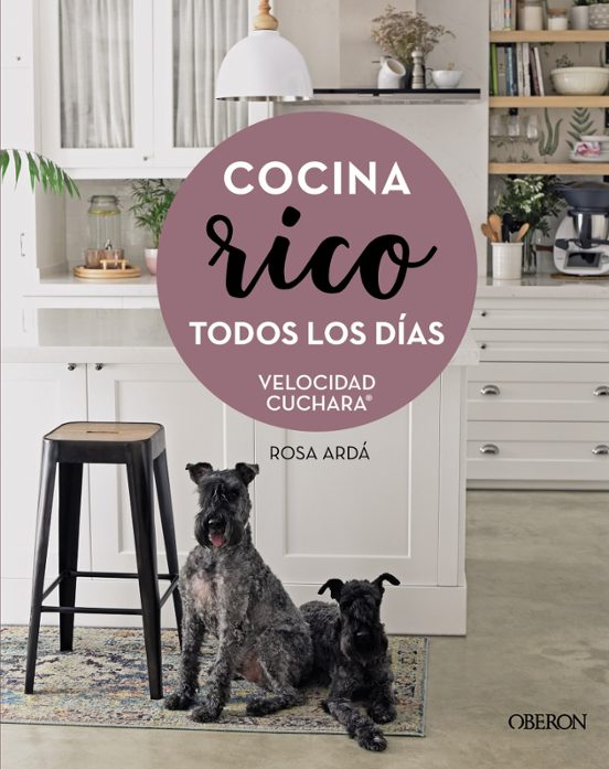 Velocidad Cuchara. Cocina Rico Todos Los Días