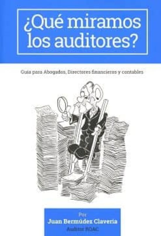 ¿qué Miramos Los Auditores?