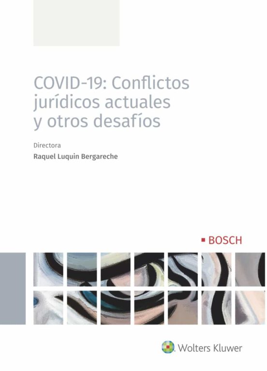 COVID-19: Conflictos Jurídicos Actuales Y Otros Desafíos