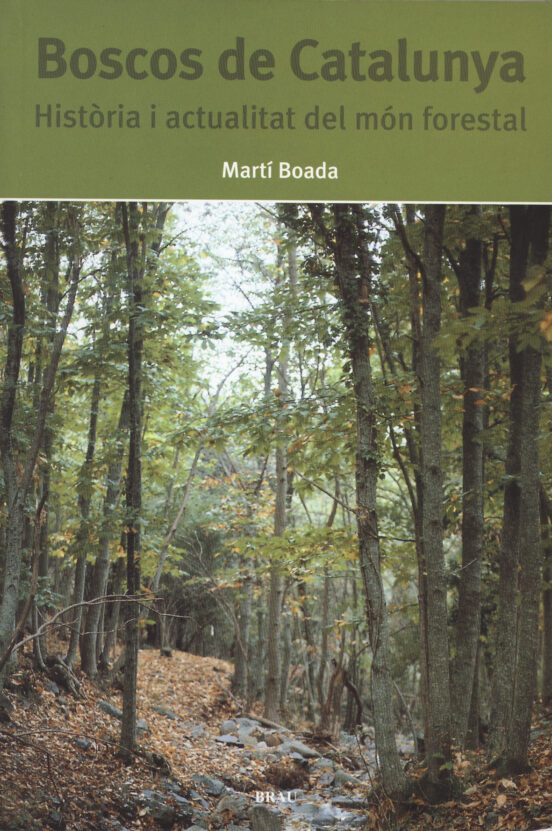 Boscos De Catalunya: Historia I Actualitat Del Mon Forestal