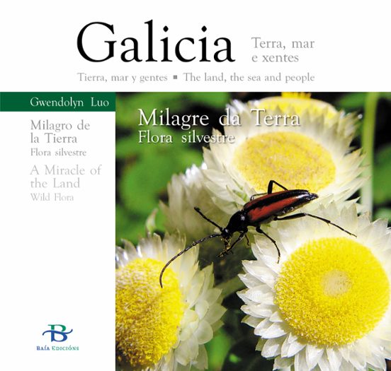Milagre Da Terra Flora Silvestre