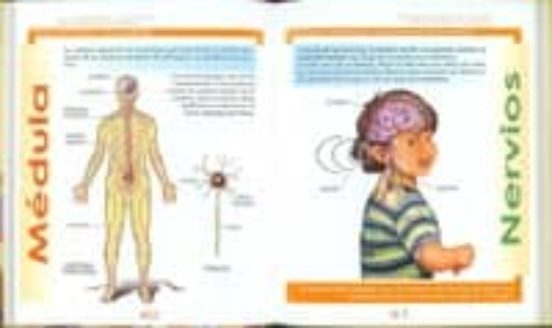 Enciclopedia Ilustrada Del Cuerpo Humano