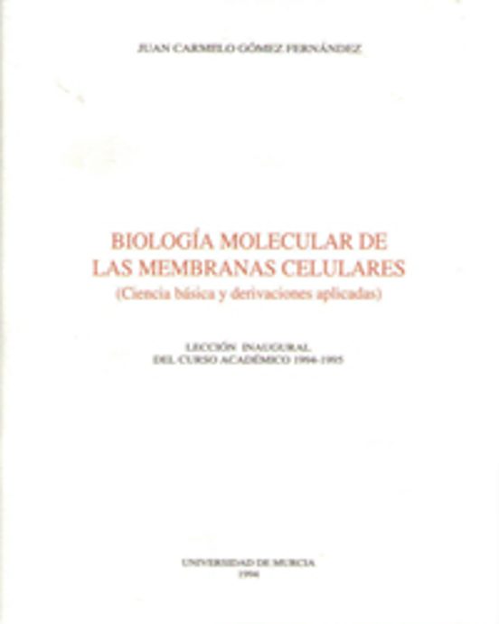Los Mensajes Publicitarios