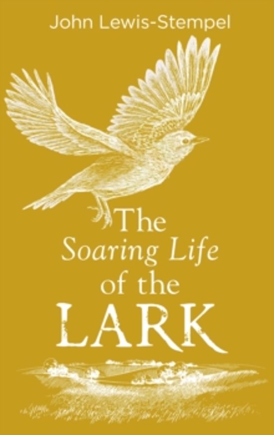The Soaring Life Of The Lark