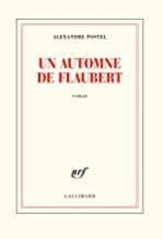 Un Automne De Flaubert