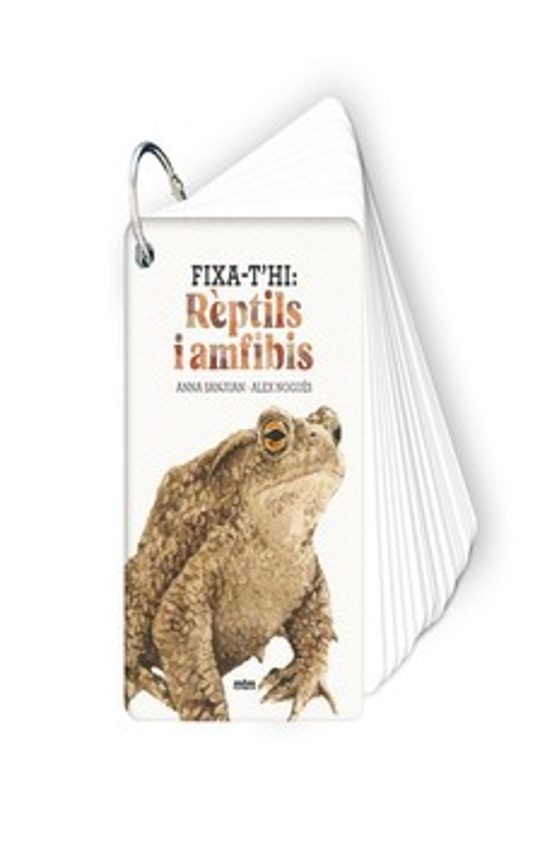 Fixa-t Hi: Reptils I Amfibis