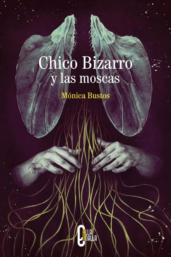 Chico Bizarro Y Las Moscas