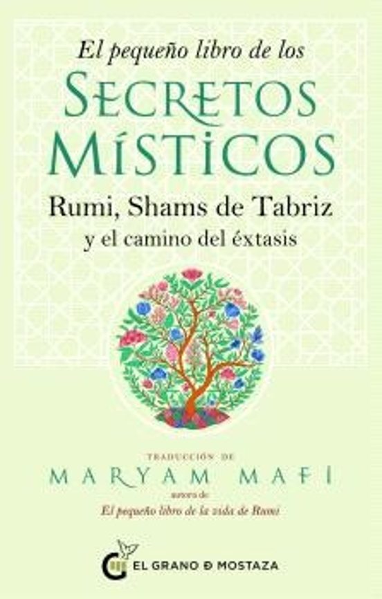 El Pequeño Libro De Los Secretos Místicos
