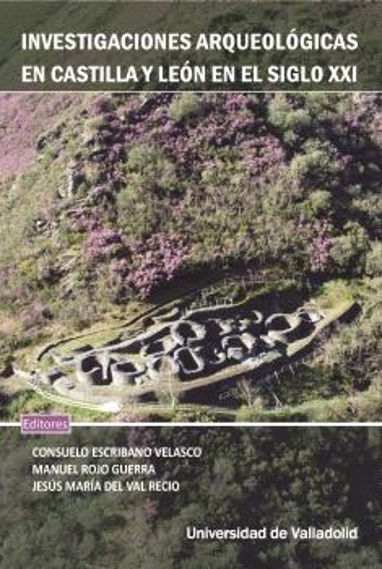 Investigaciones Arqueológicas En Castilla Y León En El Siglo XXI